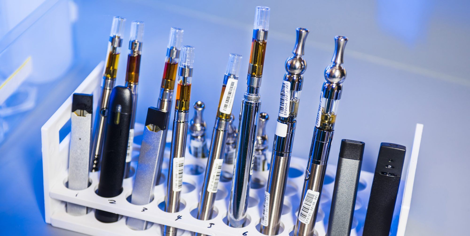 Where Music and Cannabis Collide: Best Festivals to Party At